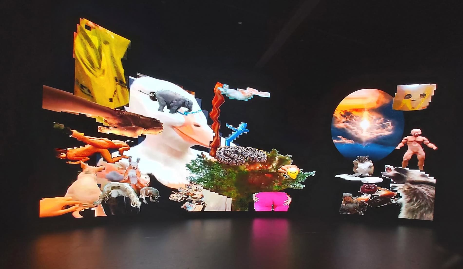 Petting Zoo: Epic Biblical shown on a large LED wall at NYU Tandon School of Engineering.